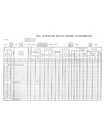 Formular activitati zilnice auto carnet