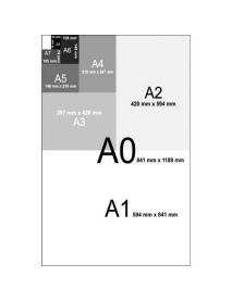 Carton XEROX Premier A3, 160g/mp