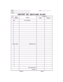 RAPORT GESTIUNE ZILNIC AUTOCOPIATIV