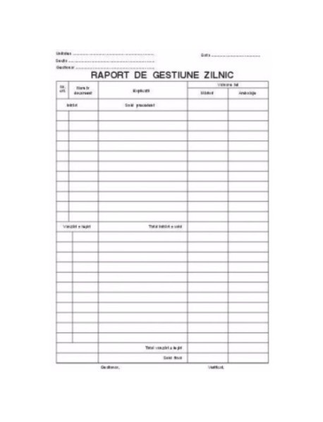 RAPORT GESTIUNE ZILNIC AUTOCOPIATIV